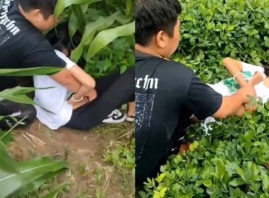 sex gái xinh live,sex hà my trần,phim sex suzuhara Cô thư ký xinh đẹp gạ tình đối tác