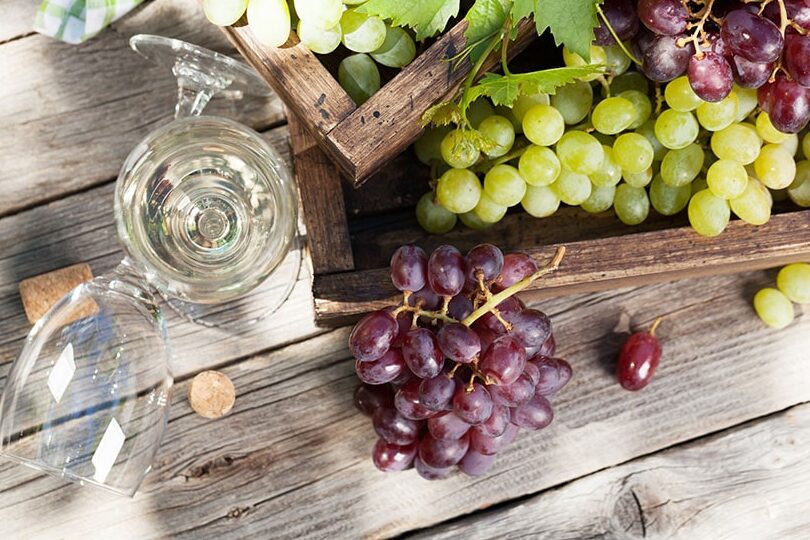descubre los mejores tipos de uva para elaborar vinos